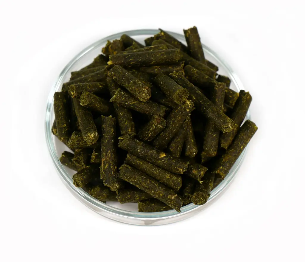 Futter_von oben.webp