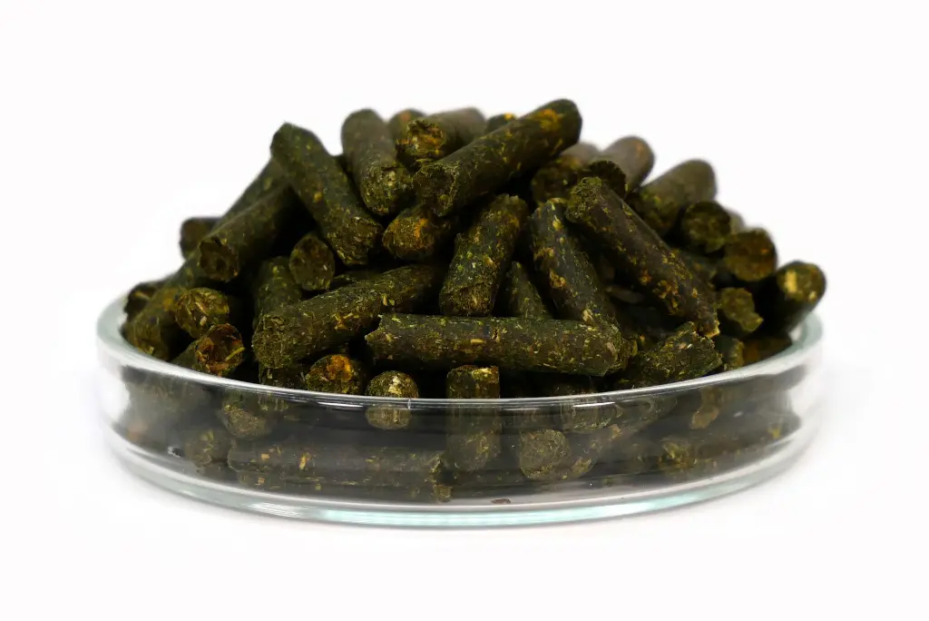 Planty Futter_von vorne.webp
