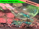 Opal jelly ausselektiert wrgb2.jpg