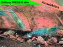 Opal jelly ausselektiert wrgb1.jpg