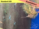 Opal jelly ausselektiert led1.jpg