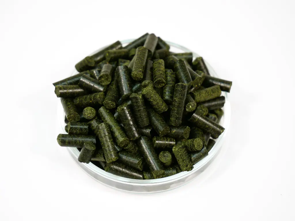 Neo Algen Sticks 1 von oben_edit AMZ.webp