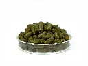 Futter_von vorne.webp