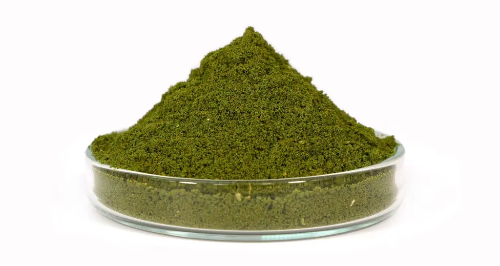 Powder Pyramide.webp