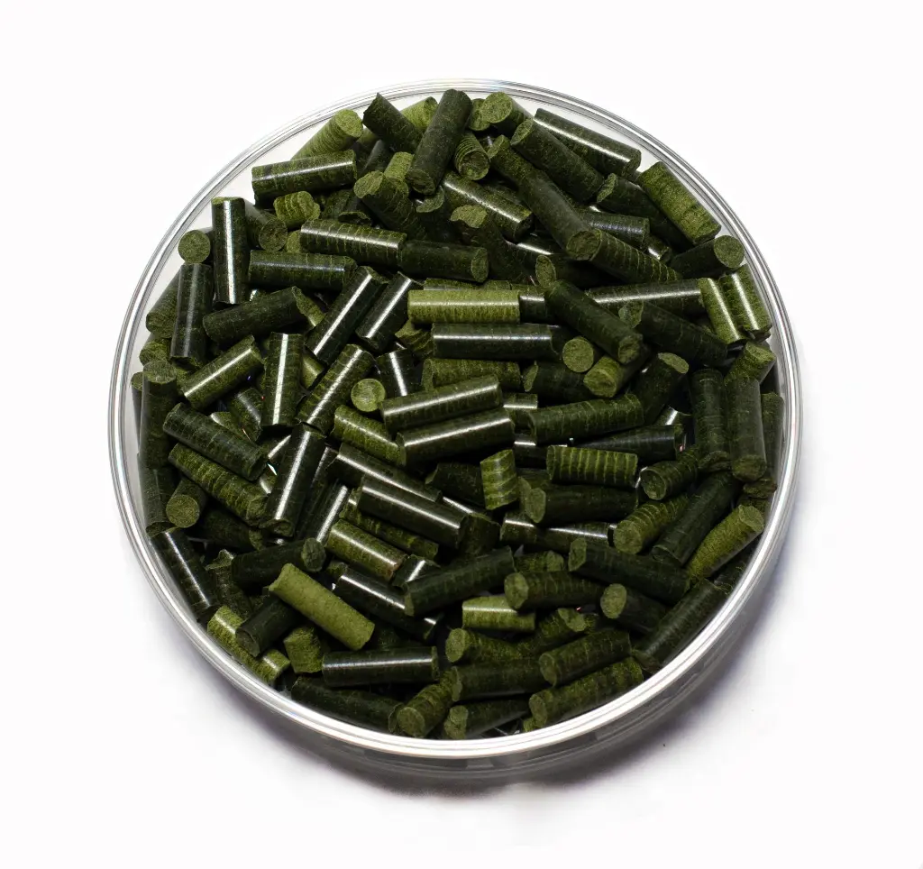 Spinat-4 JPEG.webp