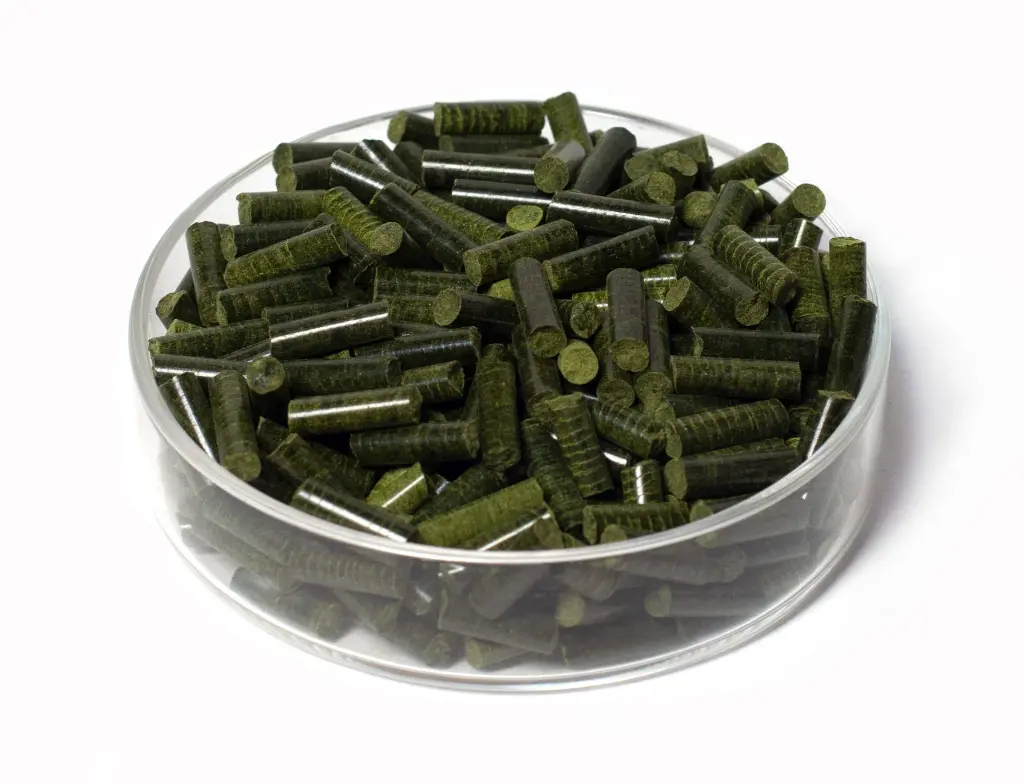 Spinat-2 JPEG.webp