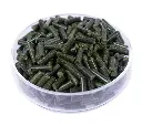 Gerstengras Bild 2.webp