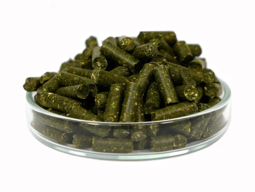 Sticks1.webp