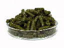 Sticks1.webp