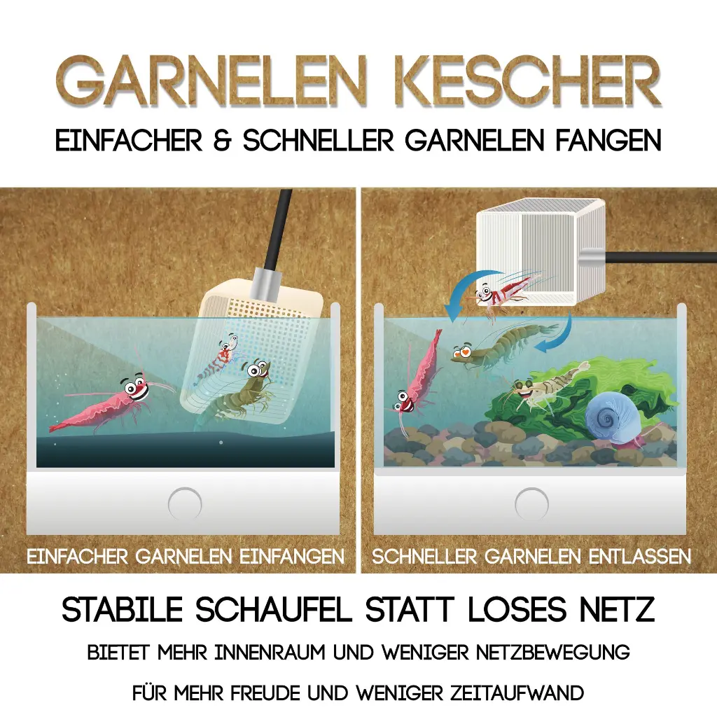 2 Kescher Funktion.webp