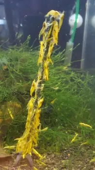 4 (1)_403_2_405_2_693_2.webp