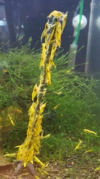 4 (1)_403_2_404_2_408_2_409_2_410_2_411_2_412_2_413_2.webp