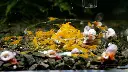 Planty Orange Sakura.webp