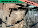 ausselektierte Black Sapphier OE gemischt-Zimmerbeläuchtung-a.webp