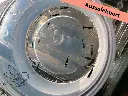 ausselektierte Neocaridina OE Mischer