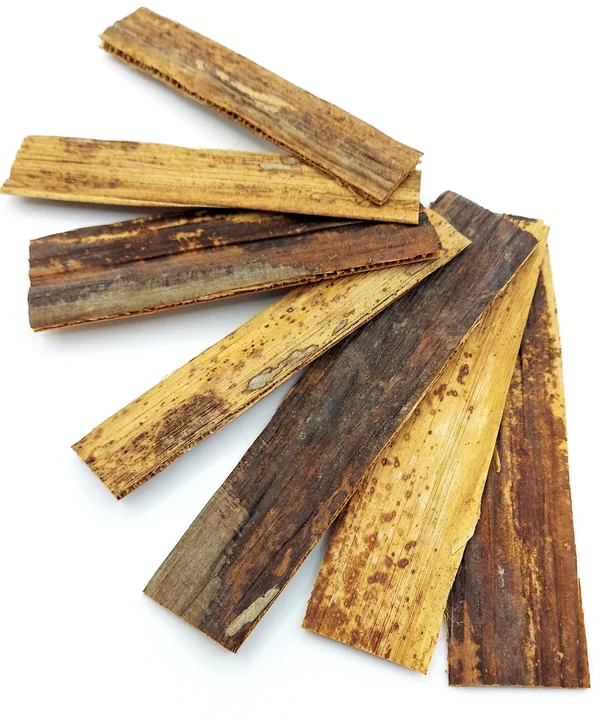 Bananenbaumblätter, Fragmente Bananen Blätter