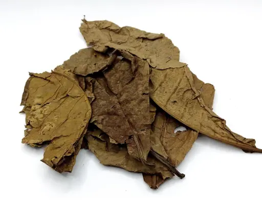 Seemandelbaumblätter Bruchlaub 5g (Mengenrabatte)