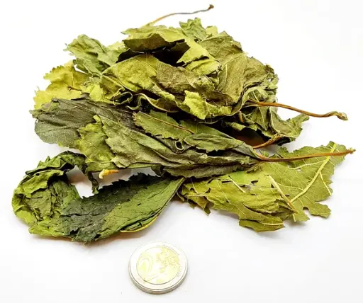 Maulbeerblätter B-Ware Bruchlaub 5g (Mengenrabatte)